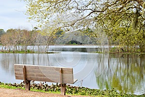 Bench overlooking a lake