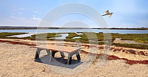 Bench overlooking the peaceful and tranquil marsh of Bolsa Chica wetlands photo