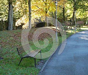 Bench in a park