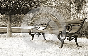 Bench in the park