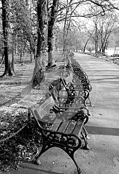 Bench in park