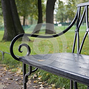 Bench in the park