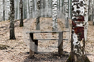 Bench in the park