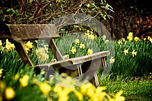 Bench in park