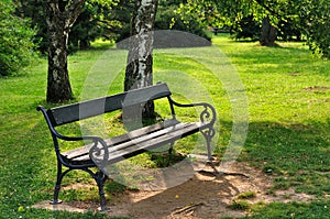 Bench in park