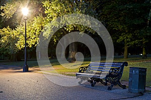 Bench in the park