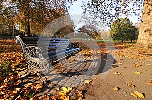 Bench in the park