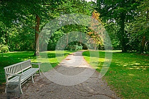 Bench in park