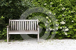 Bench in the park