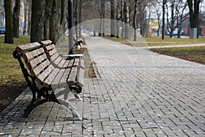 Bench in the park