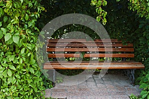 Bench in the park