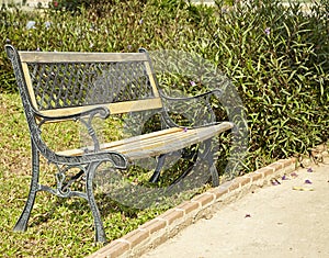 Bench in Park