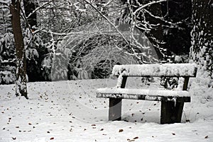 Bench in the park alley covered with snow