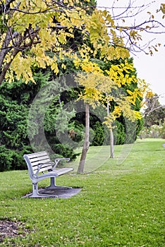 Bench in park