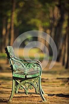 Bench in park with beautiful morning light background