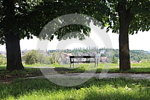 Bench in the Park