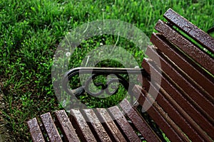 A bench in the park. City Park. Bench armrest.