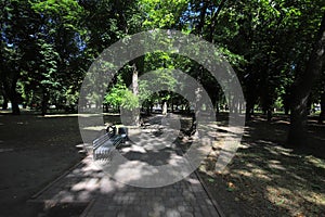 Bench in the park in the city of Poltava