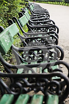 Bench in the park, closeup.