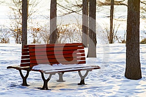 Bench in the park covered by snow
