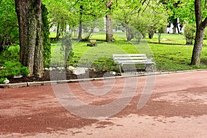 The bench in the park, Dimitrie Ghica Park in Sinaia, Romania