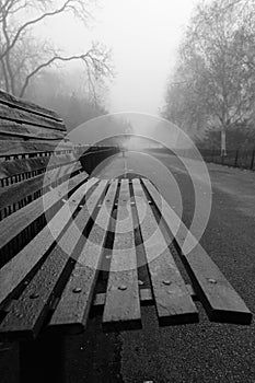Bench in the park on a foggy and rainy day