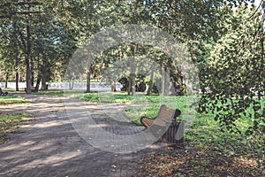 Bench in the park among green trees in the forest along which there is a path for walking. Park for walks