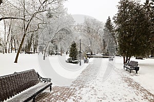 Bench in the park in icy cold frost.