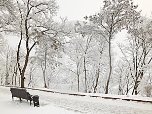 Bench in the park in icy cold frost.