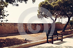 Bench in the park, lovley place for couples photo