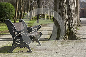 Bench in a park 6
