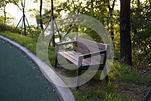 Bench in park