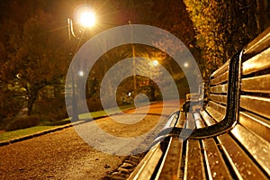 Bench in the park at night