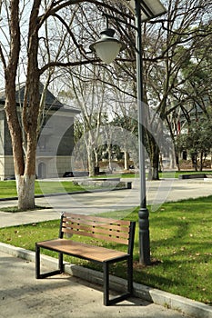 Bench in the Park with Nobody Sitting on It