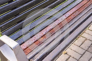 Bench in a park with rain drops