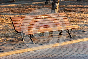 Bench in the park in the rays of the sunset