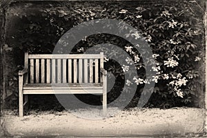 Bench in the park. Retro & Vintage Postcard