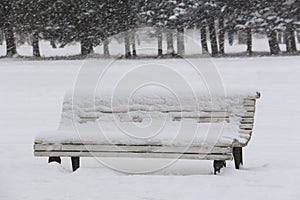 Bench in the park swept up by snow during blizzards photo