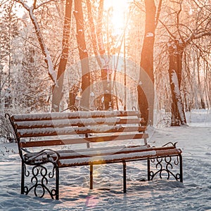 Bench in the park in the snow
