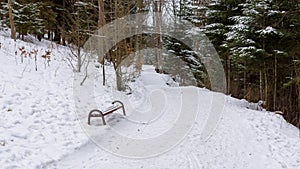 Bench in a park at snowy winter