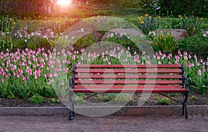 Bench in the park at sunset