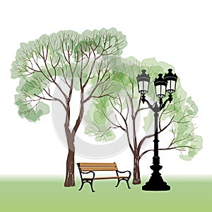 Bench in park with tree and streetlamp. City park landscape.