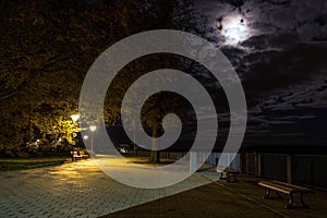 Bench in the park under moonlight and poles.