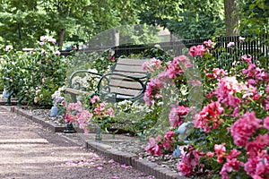 Bench and Path at Merrick Rose Garden