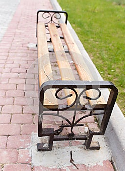 Bench on the pavement in the park