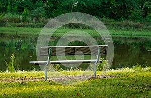 Bench in Peaceful Setting