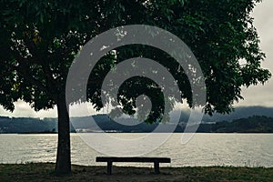 Bench in a peacefull park photo