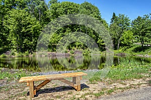 Bench before a pond