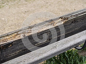 Bench in a public park in autumn