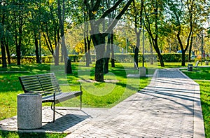 Bench in a quiet city park